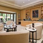 Soft Contemporary